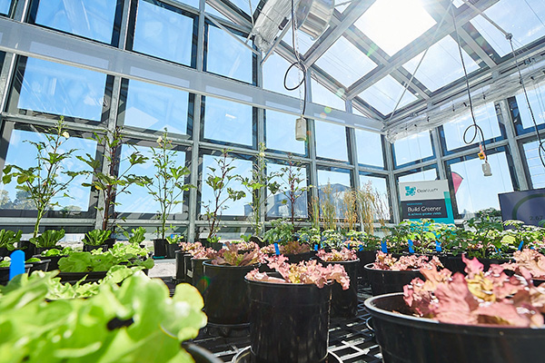ClearVue Solar Greenhouse Murdoch University