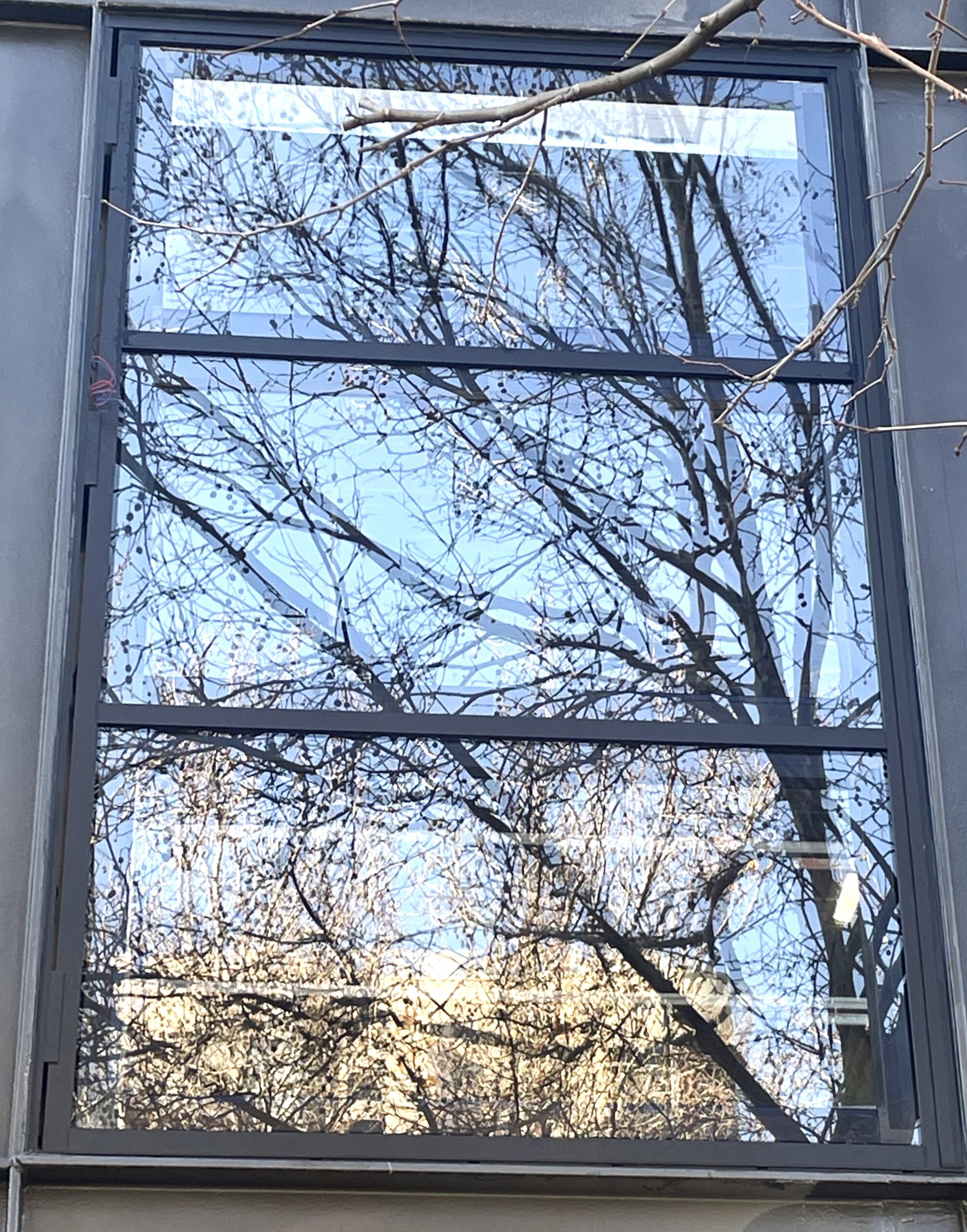 ClearVue Vision Glass Leicester Street